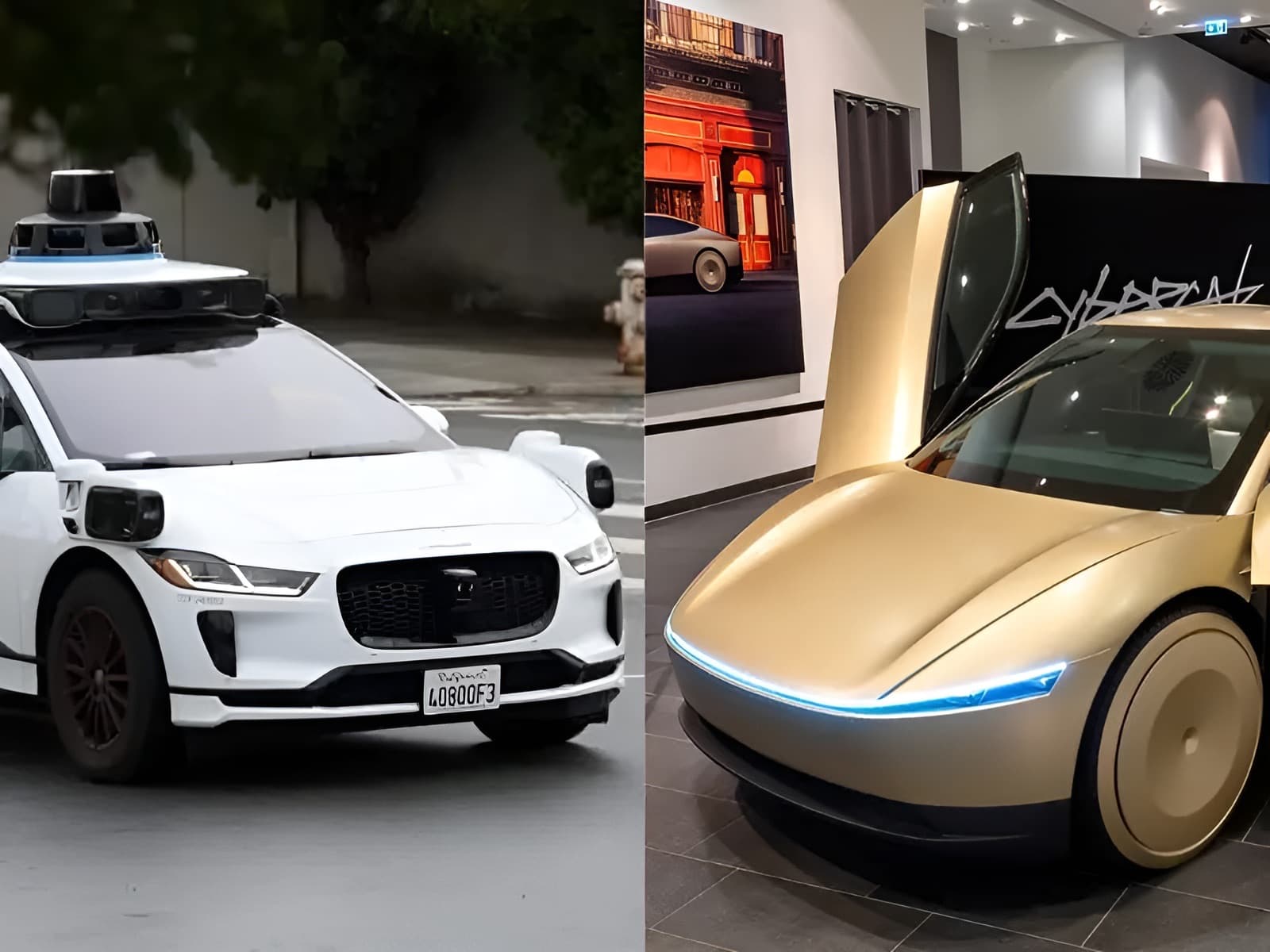Waymo vs. Tesla