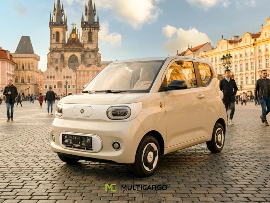 Mini EV